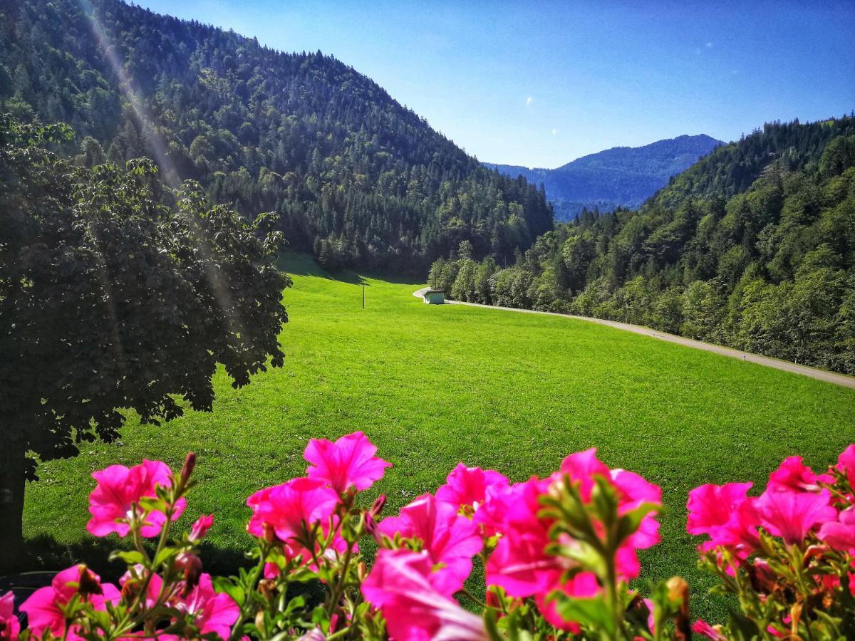 Gwercherwirt Brandenberg Kültér fotó