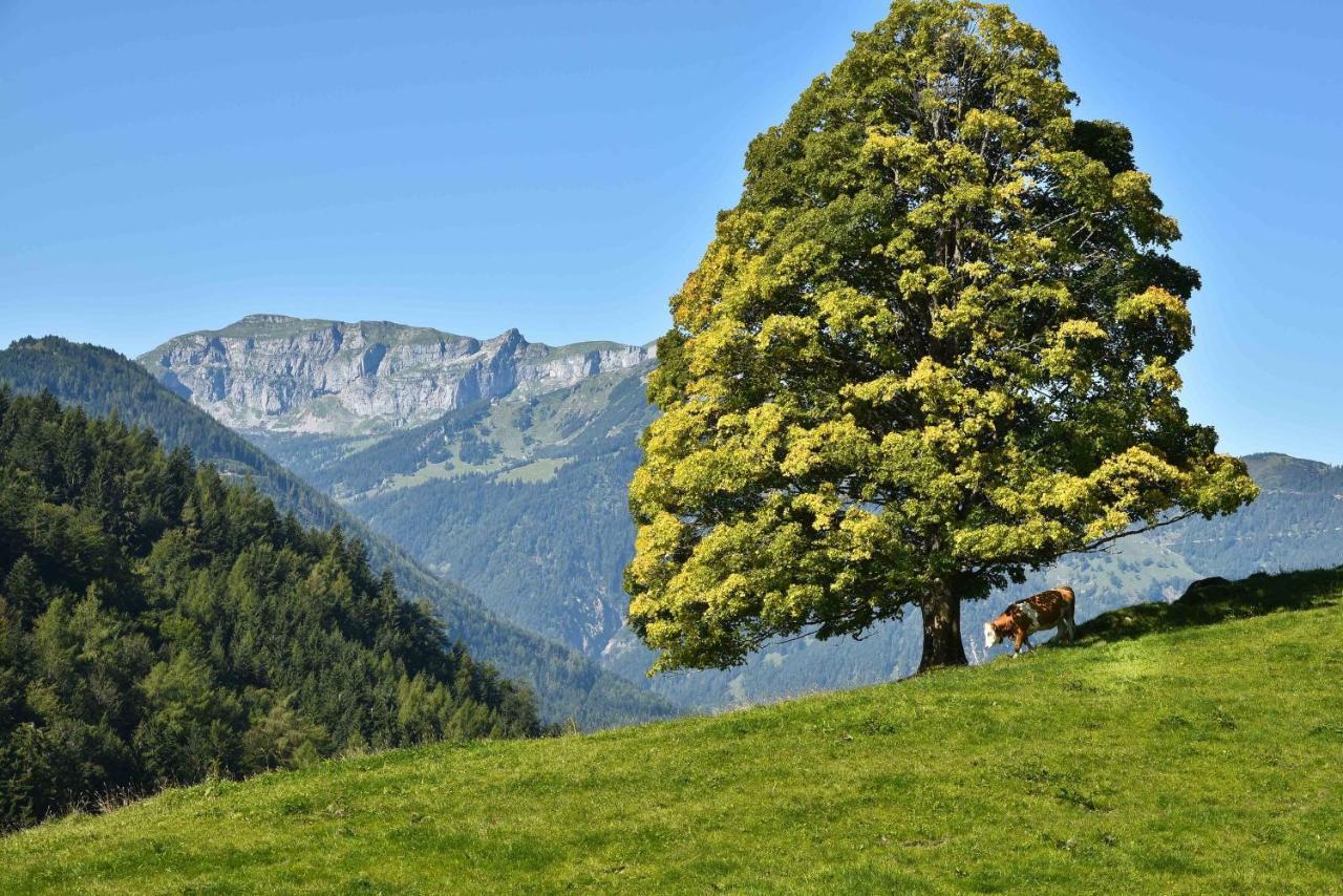 Gwercherwirt Brandenberg Kültér fotó